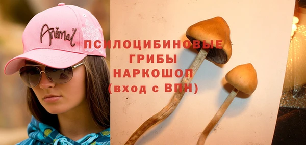гидропоника Арсеньев