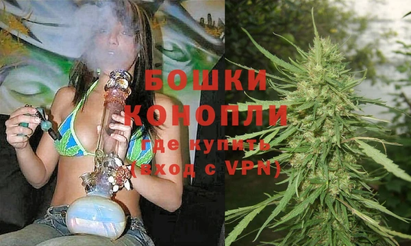 бошки Аркадак