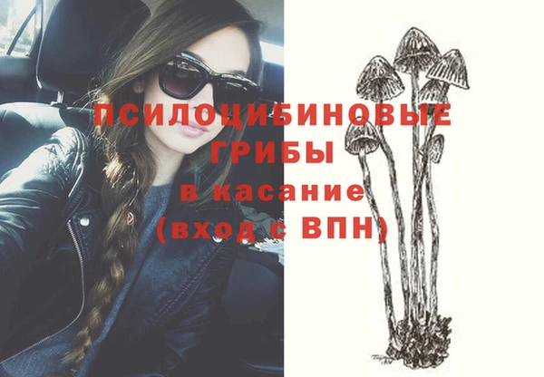 бошки Аркадак